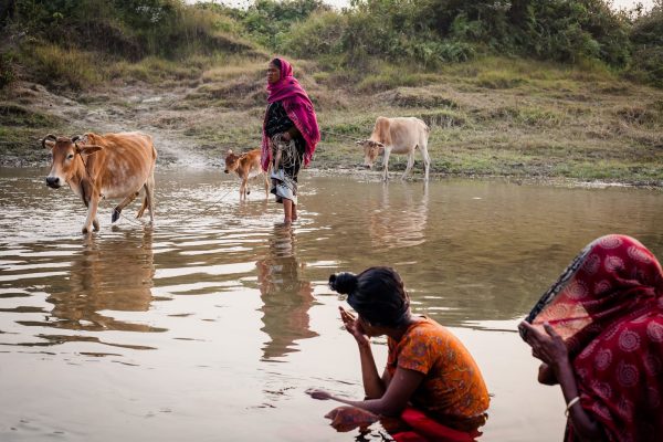 Harsha Vadlamani Photojournalist, Documentary Photographer and Filmmaker in India
