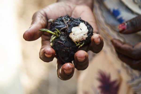 Harsha Vadlamani Photojournalist, Documentary Photographer and Filmmaker in India
