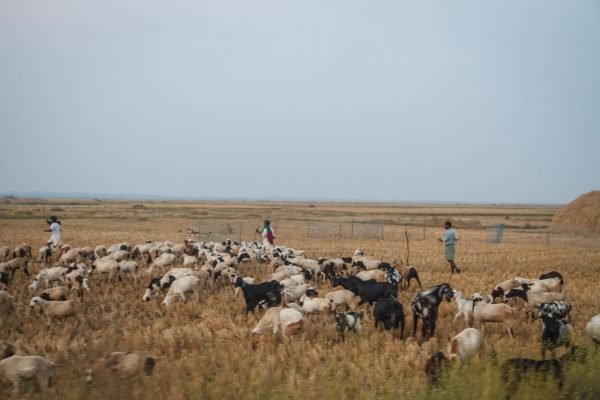 Harsha Vadlamani Photojournalist, Documentary Photographer and Filmmaker in India
