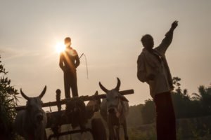 Harsha Vadlamani Photojournalist, Documentary Photographer and Filmmaker in India