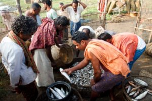 Harsha Vadlamani Photojournalist, Documentary Photographer and Filmmaker in India