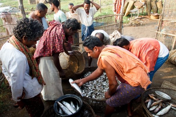 Harsha Vadlamani Photojournalist, Documentary Photographer and Filmmaker in India