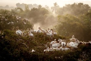 Harsha Vadlamani Photojournalist, Documentary Photographer and Filmmaker in India