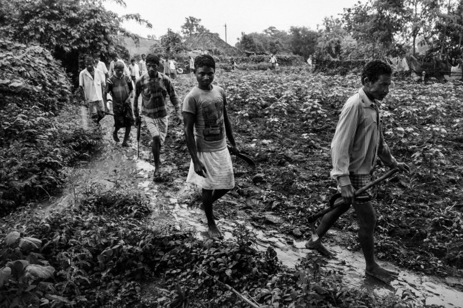 At Tellarayigudem, men return from cutting wood in the forest for a contractor.