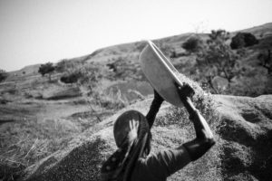 In the summer of 2016, over 330 million people--a quarter of the country’s population—were declared drought-affected by the Indian government. Among the worst-hit regions was Marathwada, spread across 65,000 sq km in Maharashtra. In 2015, the monsoon failed for the third time in a row, with the region recording an average deficit rainfall of 51%. Some parts received as little as 35% of what is considered normal rainfall, squeezing the predominantly agrarian region dry. As yields suffered and debt accumulated, many farmers were pushed to the brink and beyond. Over 1,100 farmer suicides were reported from the region in 2015 and 216 more ended their lives in the first 71 days of 2016.