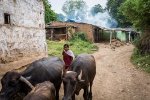 Pichhodi in Barwani, Madhya Pradesh, was washed away in the flood of 1970, following which villagers moved to higher ground. This place, too, was submerged--by the reservoir's waters in 2013. Resettled villagers now find themselves close to submergence again. September 09, 2017.