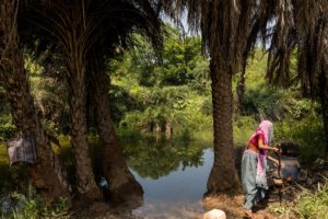 A Barela Adivasi woman brews mahua liquor even as the rising waters of the Narmada reach her farm in the hills near Nisarpur, Dhar, Madhya Pradesh. September 11, 2017.