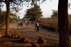 Harsha Vadlamani Photojournalist, Documentary Photographer and Filmmaker in India