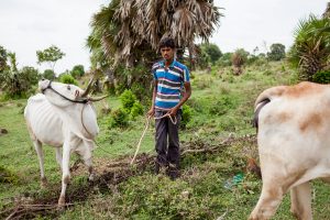 Harsha Vadlamani Photojournalist, Documentary Photographer and Filmmaker in India