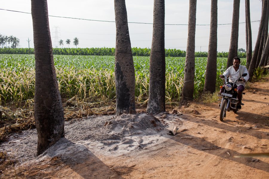 Amaravati | | Harsha Vadlamani Harsha Vadlamani Photojournalist, Documentary Photographer and Filmmaker in India