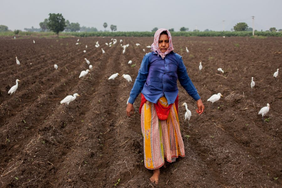Harsha Vadlamani Photojournalist, Documentary Photographer and Filmmaker in India