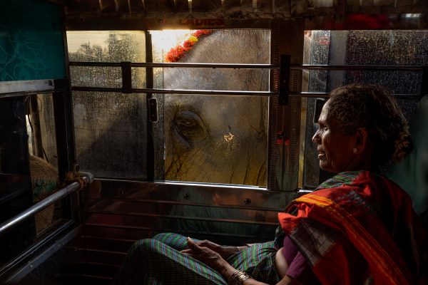 Photojournalist, documentary photographer and portrait photographer whose work captures the diverse cultures, traditions and people of the Indian subcontinent.