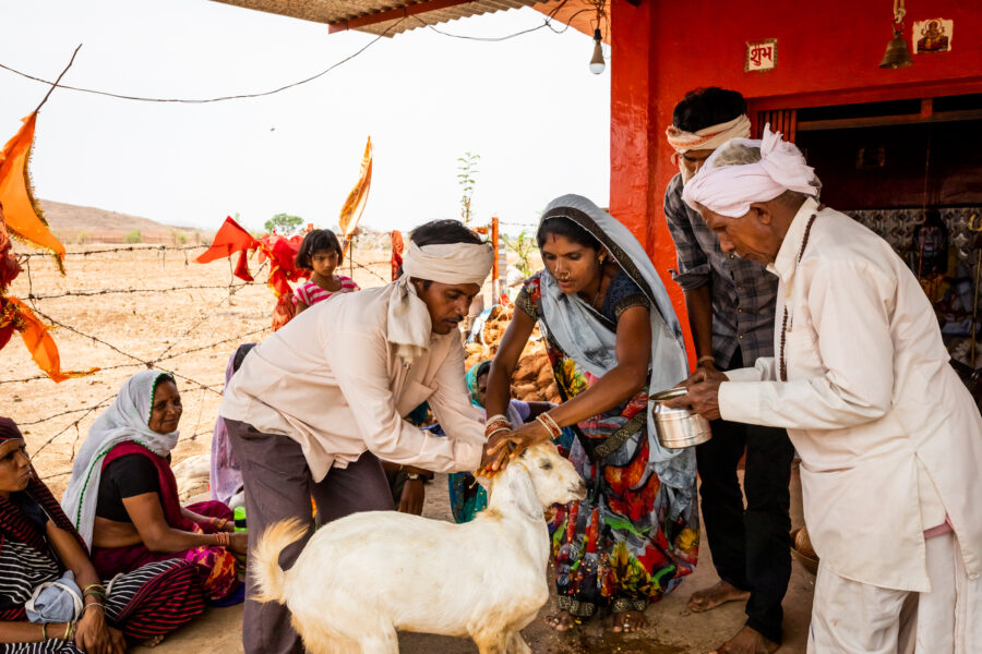 Manohar Patil, 50, holds a sacrificial goat as his daughter Jamuna More, 30, and son-in-law Suhas More, 30, offer prayers to it at an ashram run by Bhanlal Jawarkar, 70, right, in Dadida in the Melghat region of Amravati in Maharashtra. The Mores claimed Jawarkar cured Jamuna More of oral cancer two years ago by prayers after doctors gave up on her. May 31, 2021.