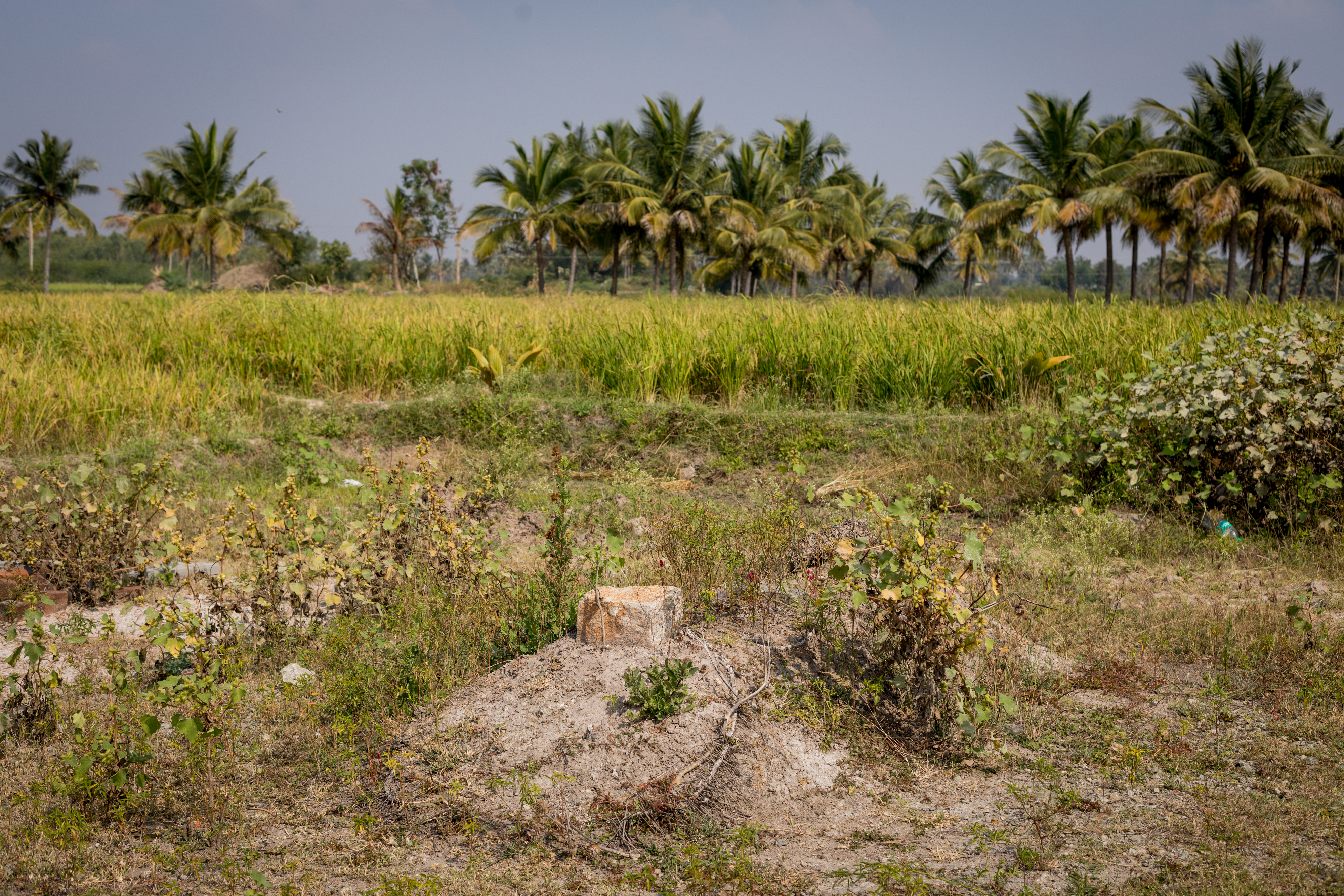 Harsha Vadlamani Photojournalist, Documentary Photographer and Filmmaker in India