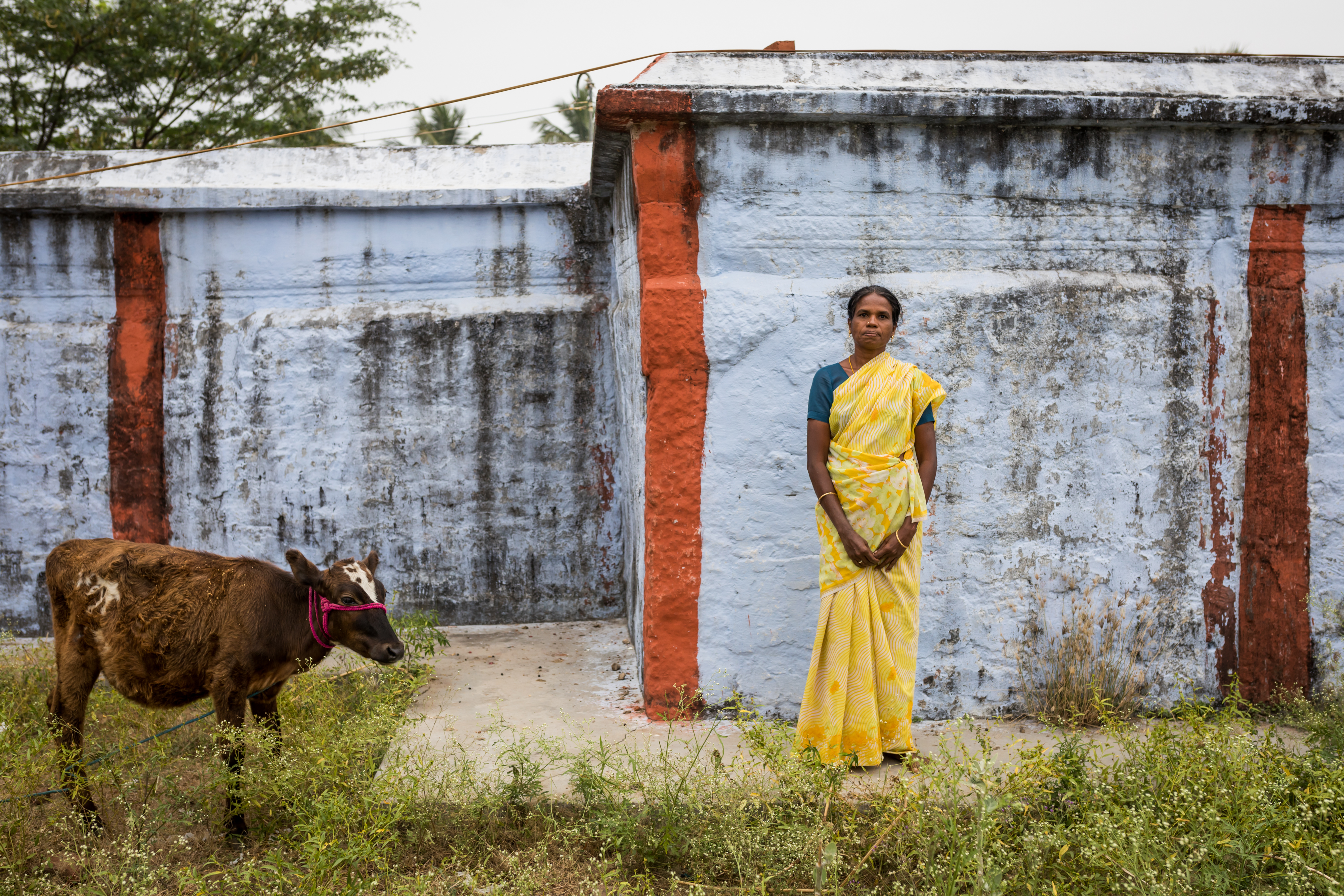 Harsha Vadlamani Photojournalist, Documentary Photographer and Filmmaker in India