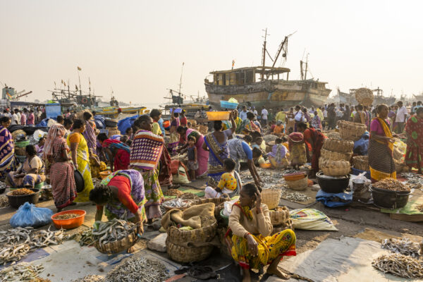 17 November 2022, Visakhapatnam, Andhra Pradesh, India- Women sell dried fish at the fishing harbour.  This photo mission has been supported by Central Institute of Fisheries Technology (ICAR- CIFT), India.