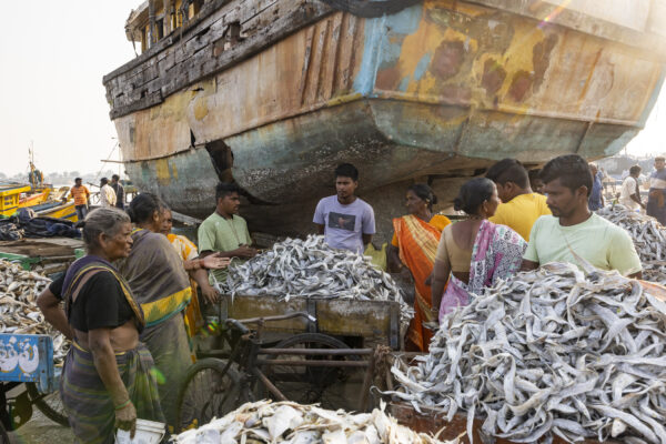 17 November 2022, Visakhapatnam, Andhra Pradesh, India- Women sell dried fish at the fishing harbour.  This photo mission has been supported by Central Institute of Fisheries Technology (ICAR- CIFT), India.