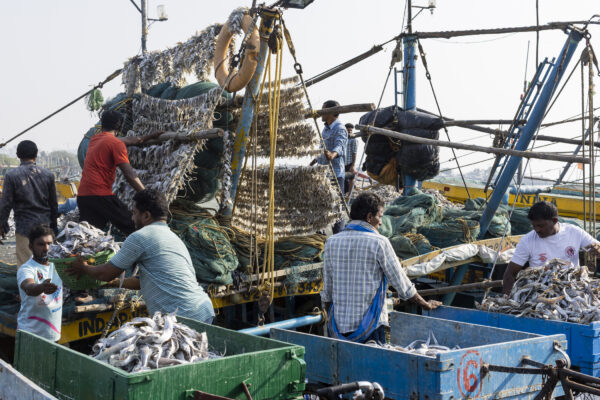 17 November 2022, Visakhapatnam, Andhra Pradesh, India- Fishermen carry dried fish from a mechanised fishing boat to sellers' cycle carts at the fishing harbour.  This photo mission has been supported by Central Institute of Fisheries Technology (ICAR- CIFT), India.