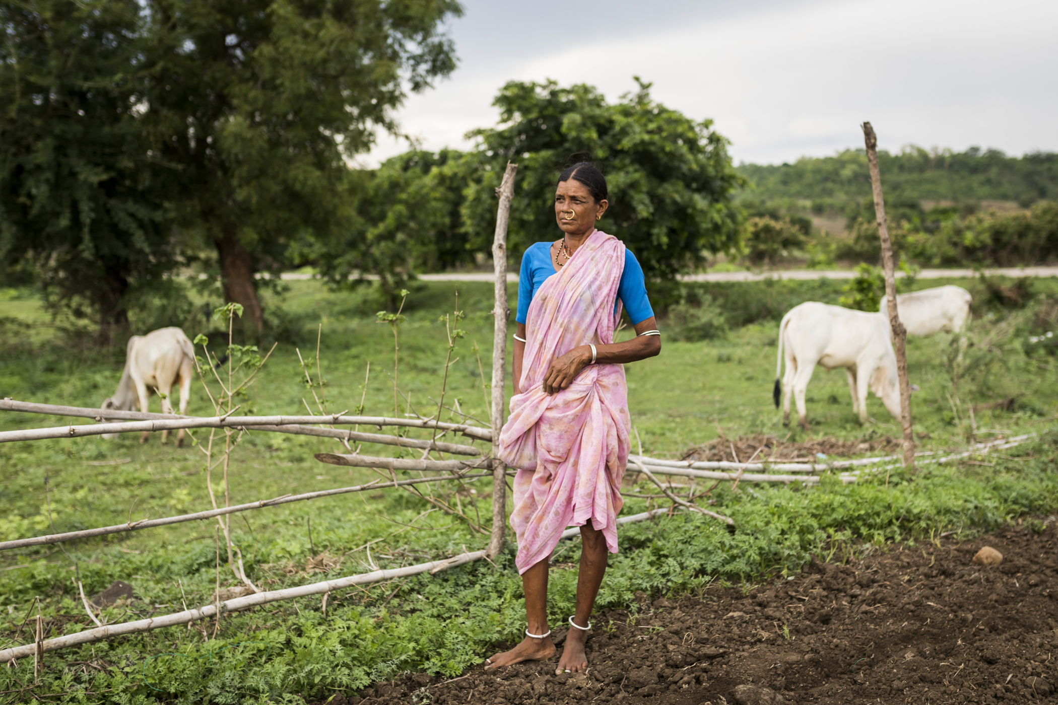 Atram Nambai, 55, the village head's wife, during a break while sowing cotton seed in the family's farm in Marlawai in Kumram Bheem Asifabad, Telangana.