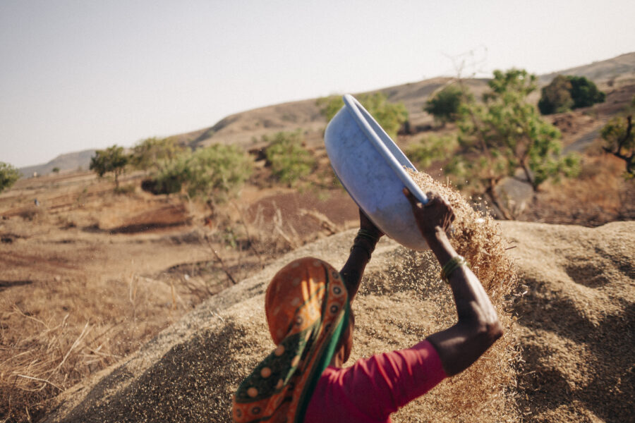 Deubai Disle, 60, winnows the family's harvest of bajra (pearl millet) at Dislewadi in Beed, Maharashtra. She said the yield from the 12-acre farm was only 1000 kg against the normal yield of 5000 kg. March 22, 2016.