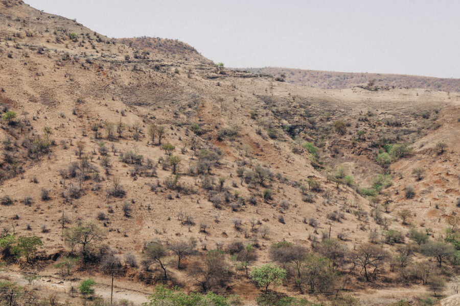 Dead trees dot the hills near Dharur in Beed, Maharashtra. March 23, 2016.