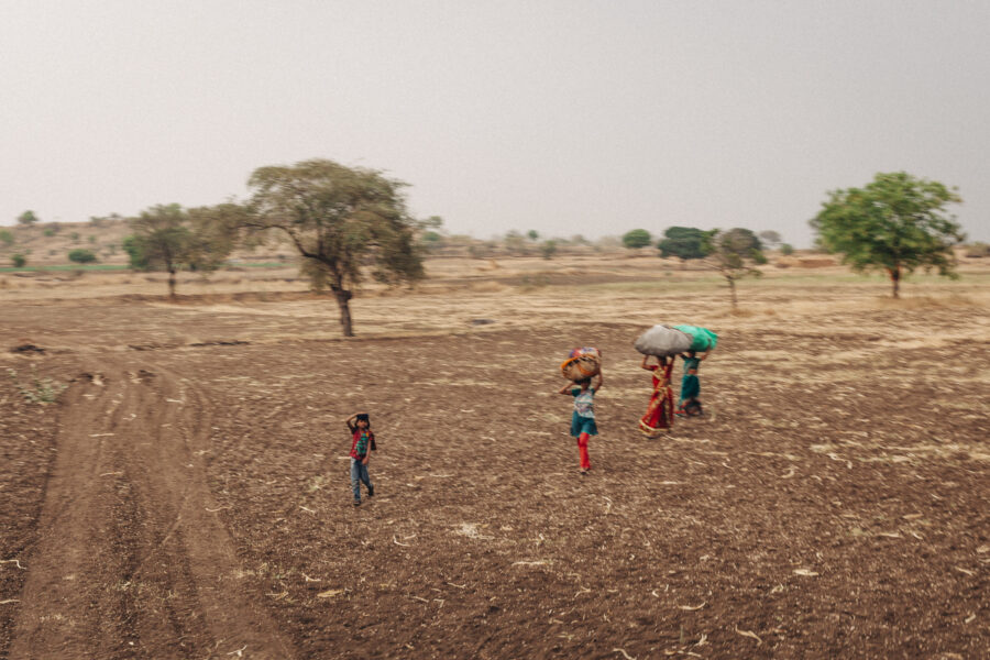 Women walk back to their homes after a day's work in the fields, carrying firewood, near Dongargaon in Latur, Maharashtra. March 27, 2016.