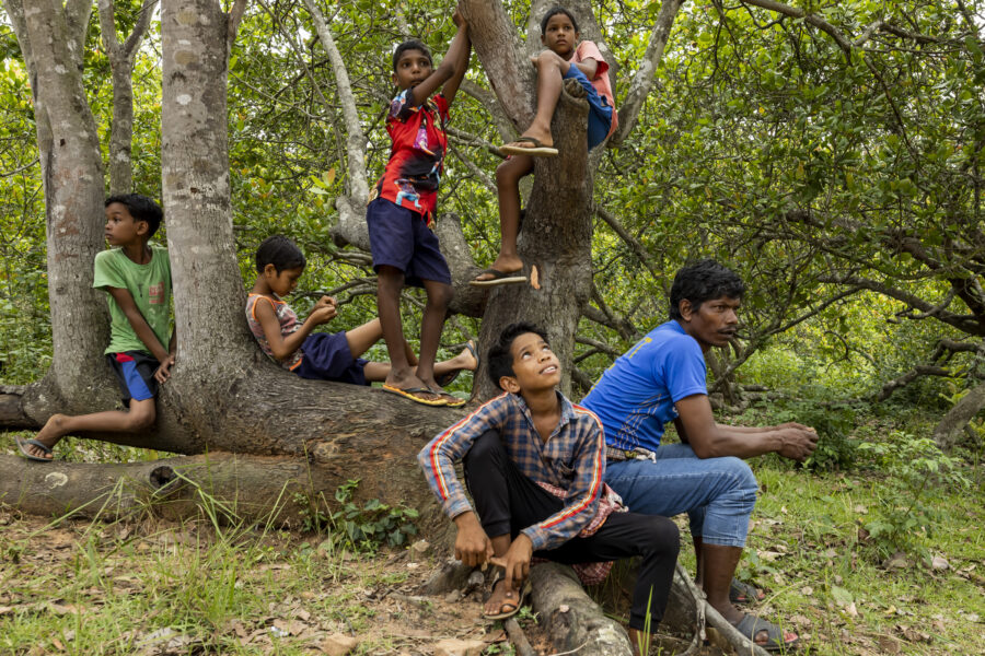 Kids gather in a cashew orchard to watch a volleyball game being played next to it, near Putta in Odisha, India.