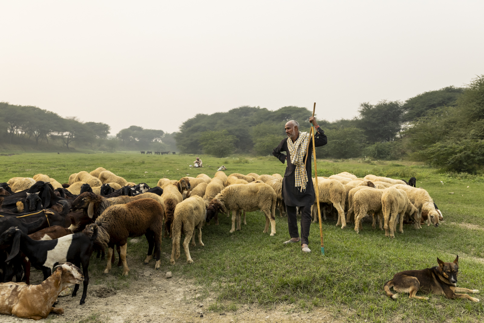 Harsha Vadlamani Photojournalist, Documentary Photographer and Filmmaker in India
