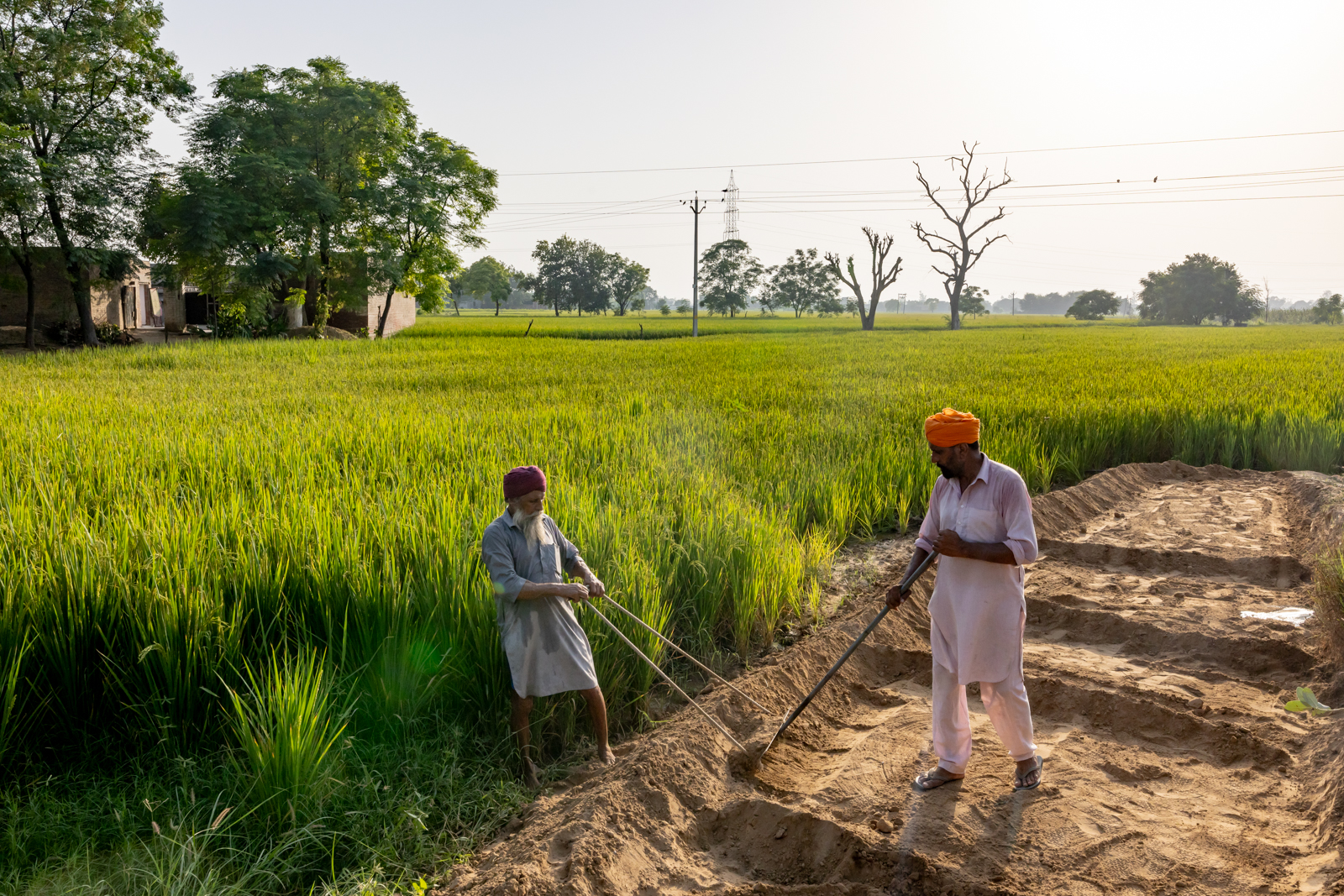 Heavy Lies the Grain | | Harsha Vadlamani Harsha Vadlamani Photojournalist, Documentary Photographer and Filmmaker in India