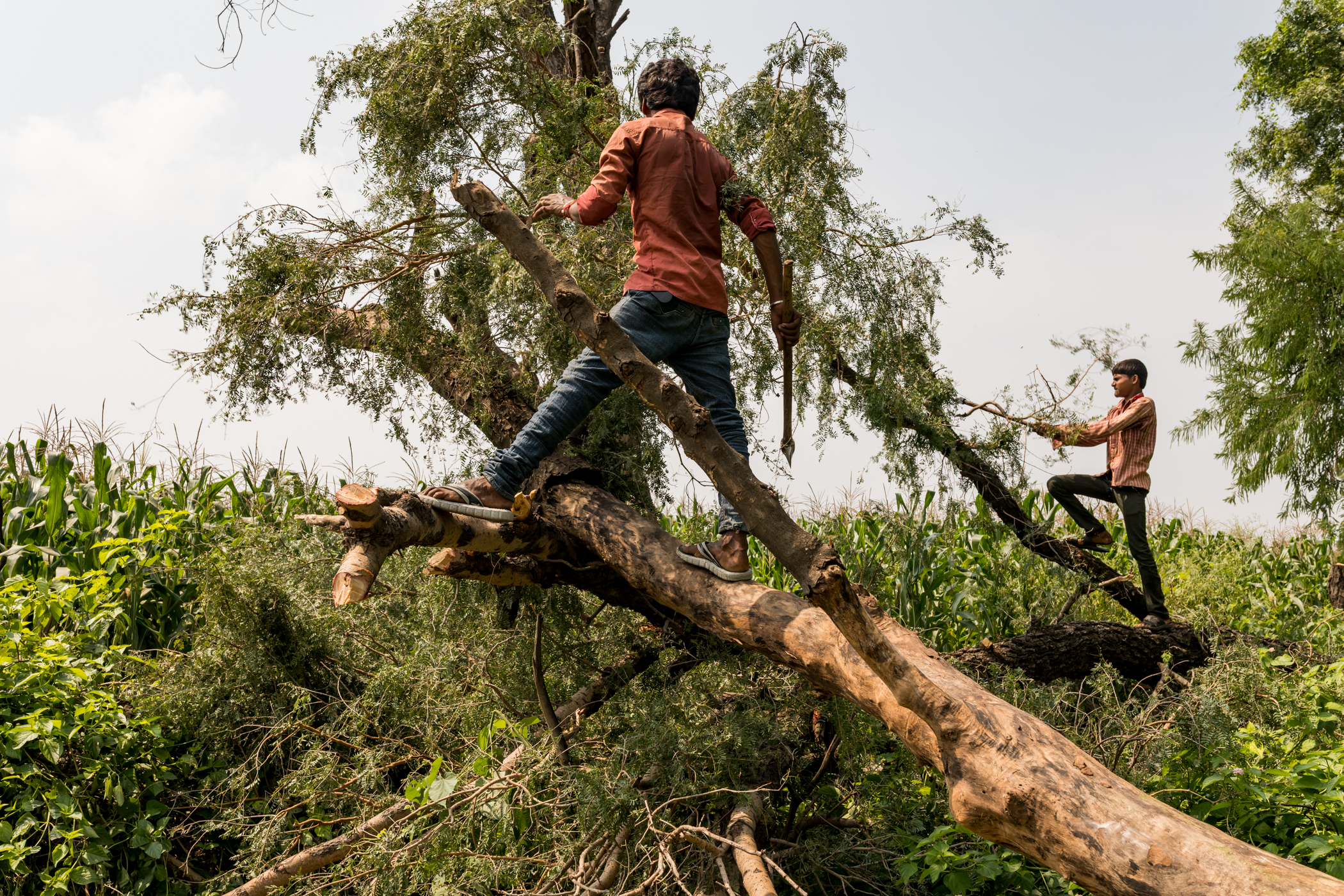 Waters Close Over Us | | Harsha Vadlamani Harsha Vadlamani Photojournalist, Documentary Photographer and Filmmaker in India