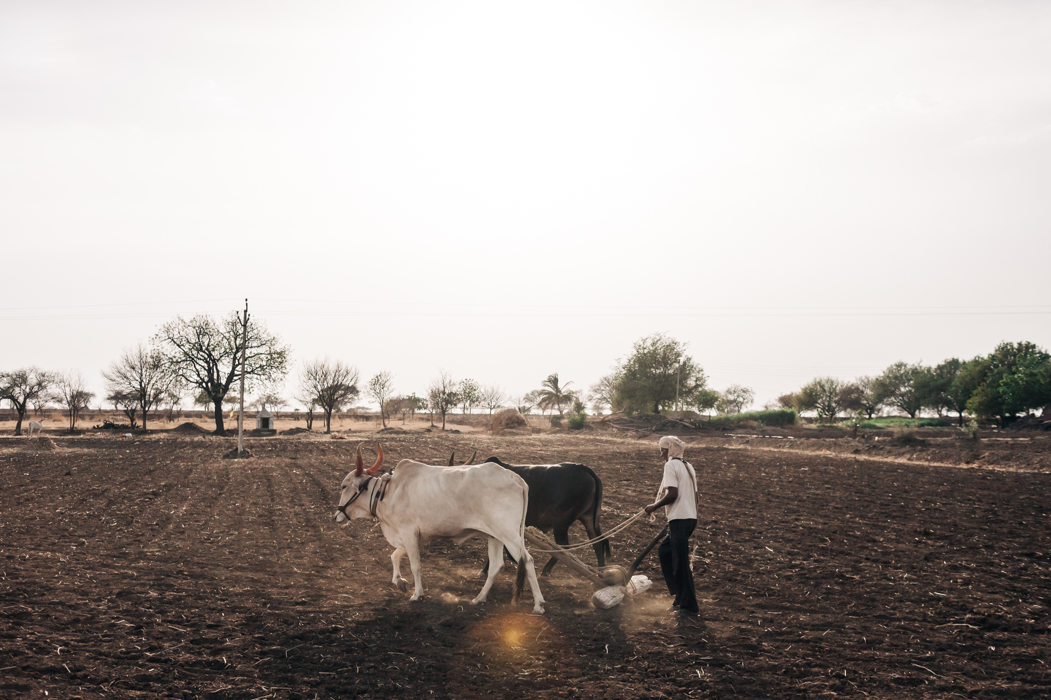 Harsha Vadlamani Photojournalist, Documentary Photographer and Filmmaker in India