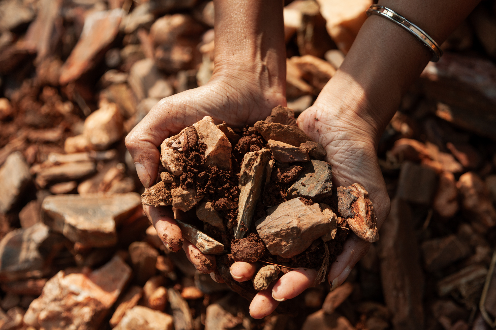Close-up of hands holding vineyard soil, photographed to highlight terroir and the detailed storytelling behind brand identity.