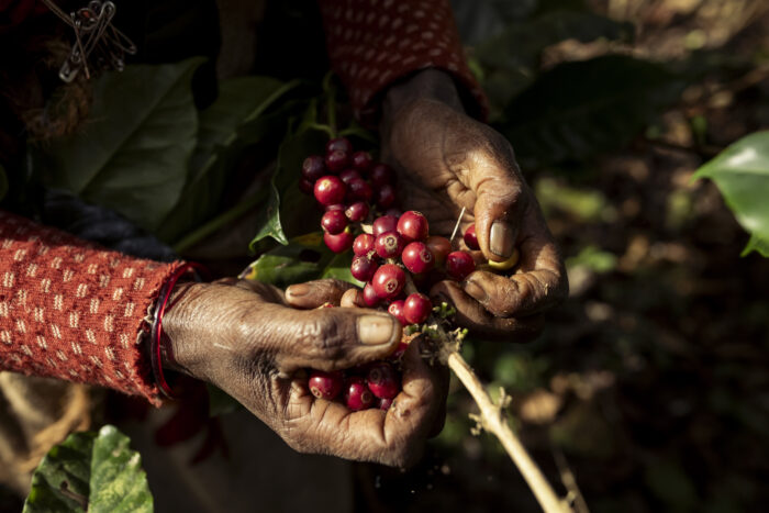 Harsha Vadlamani Photojournalist, Documentary Photographer and Filmmaker in India