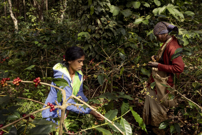 Harsha Vadlamani Photojournalist, Documentary Photographer and Filmmaker in India