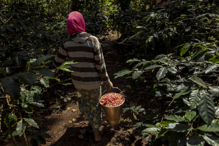 Harsha Vadlamani Photojournalist, Documentary Photographer and Filmmaker in India