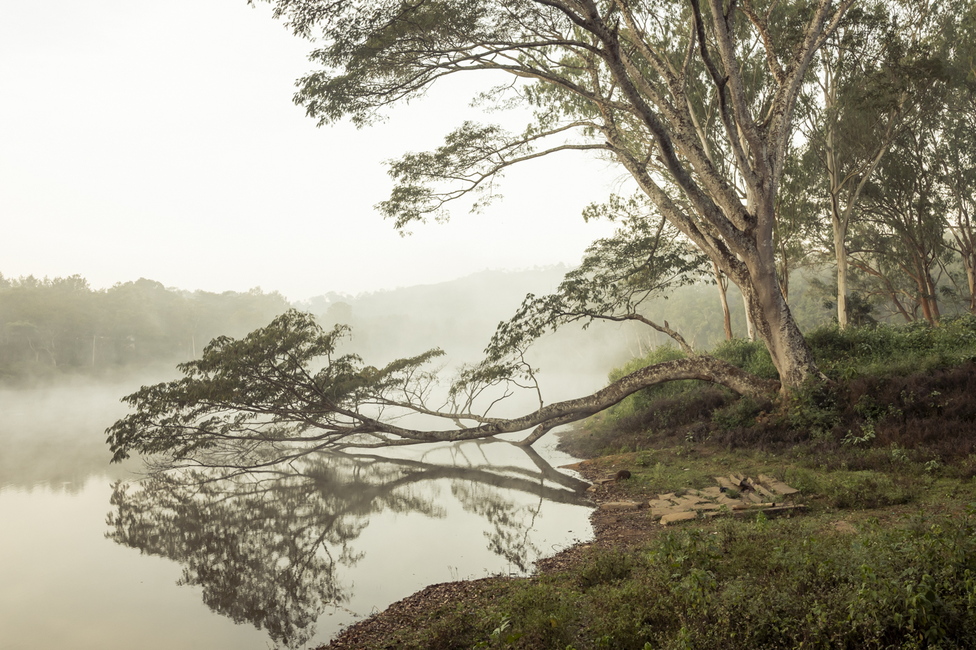 Harsha Vadlamani Photojournalist, Documentary Photographer and Filmmaker in India