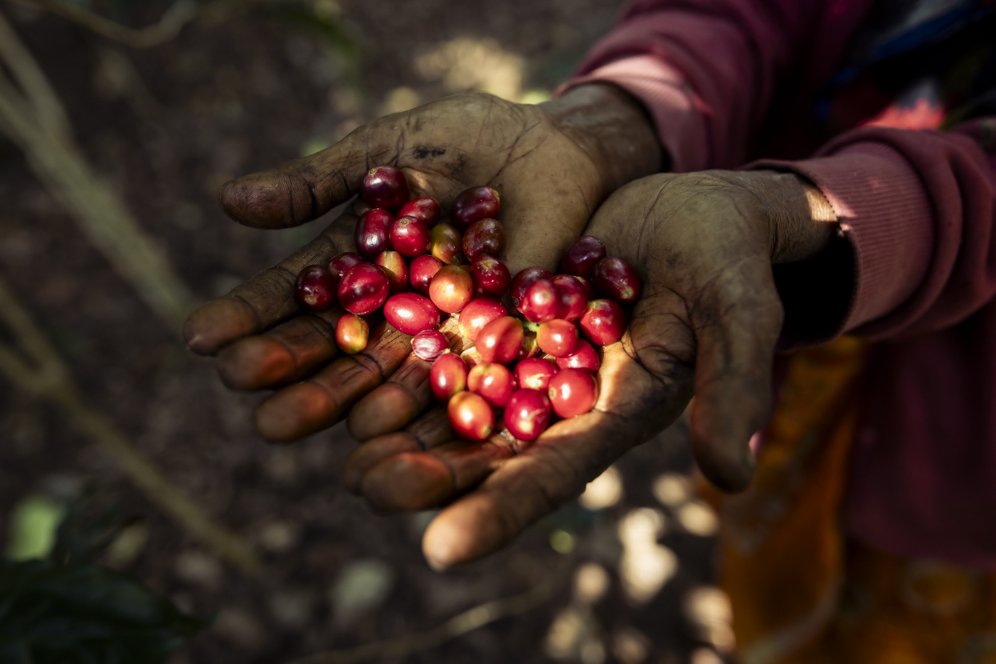 Harsha Vadlamani Photojournalist, Documentary Photographer and Filmmaker in India