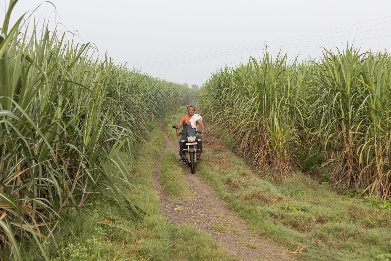 Harsha Vadlamani Photojournalist, Documentary Photographer and Filmmaker in India