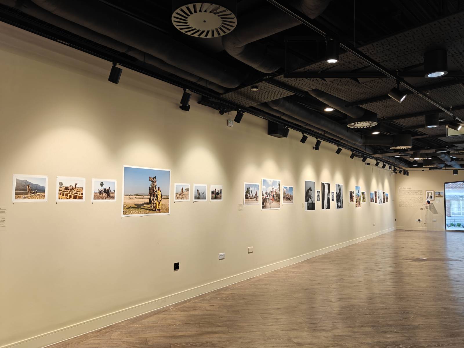 Harsha Vadlamani Photojournalist, Documentary Photographer and Filmmaker in India