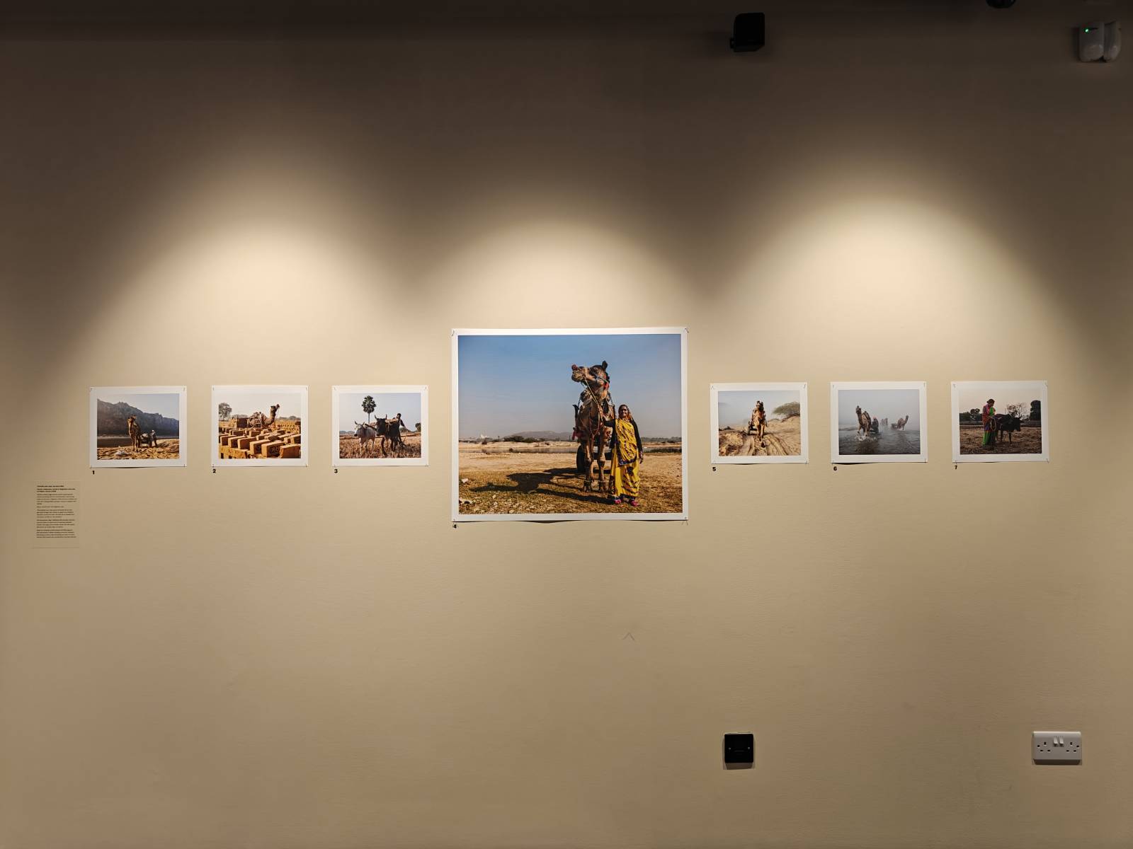 Harsha Vadlamani Photojournalist, Documentary Photographer and Filmmaker in India