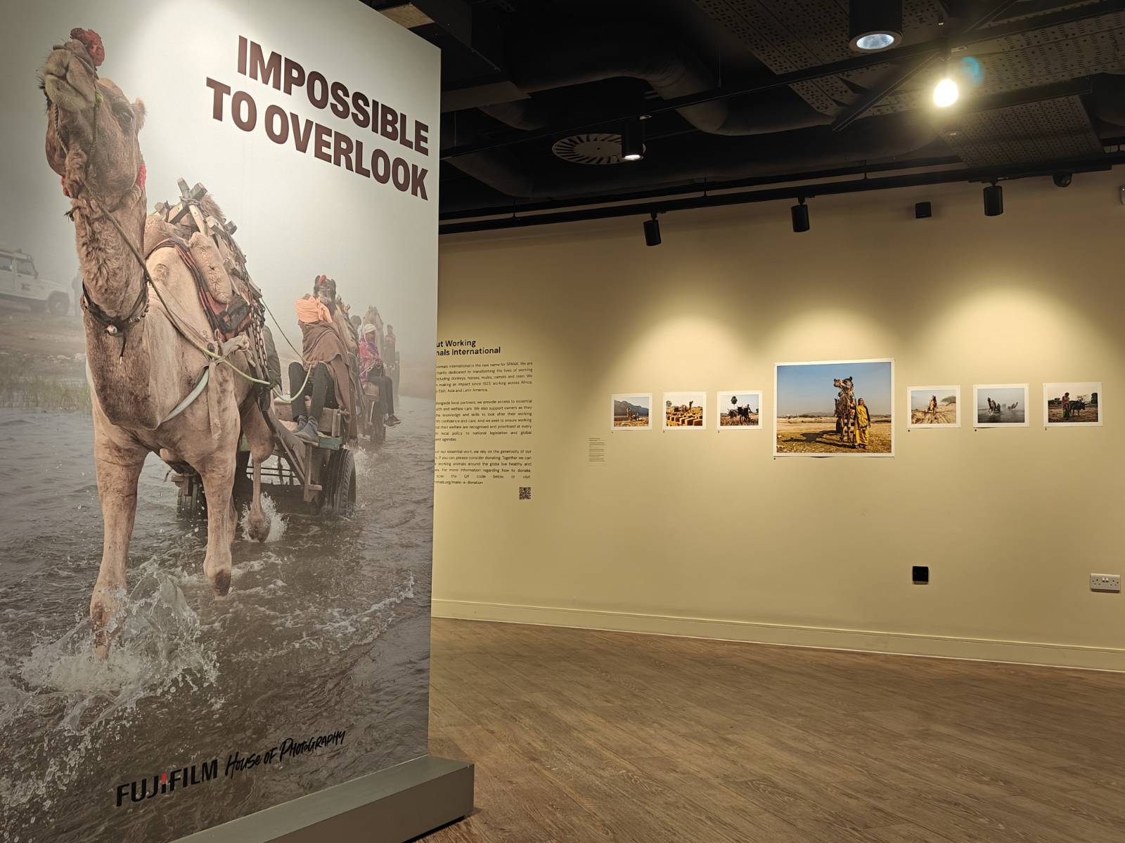 Harsha Vadlamani Photojournalist, Documentary Photographer and Filmmaker in India