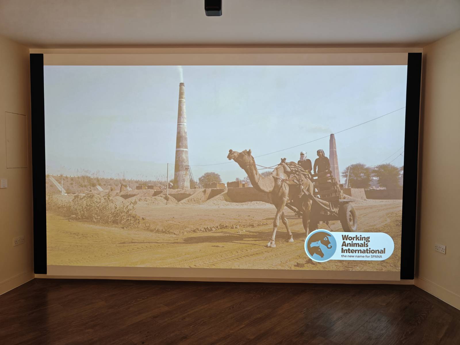 Harsha Vadlamani Photojournalist, Documentary Photographer and Filmmaker in India