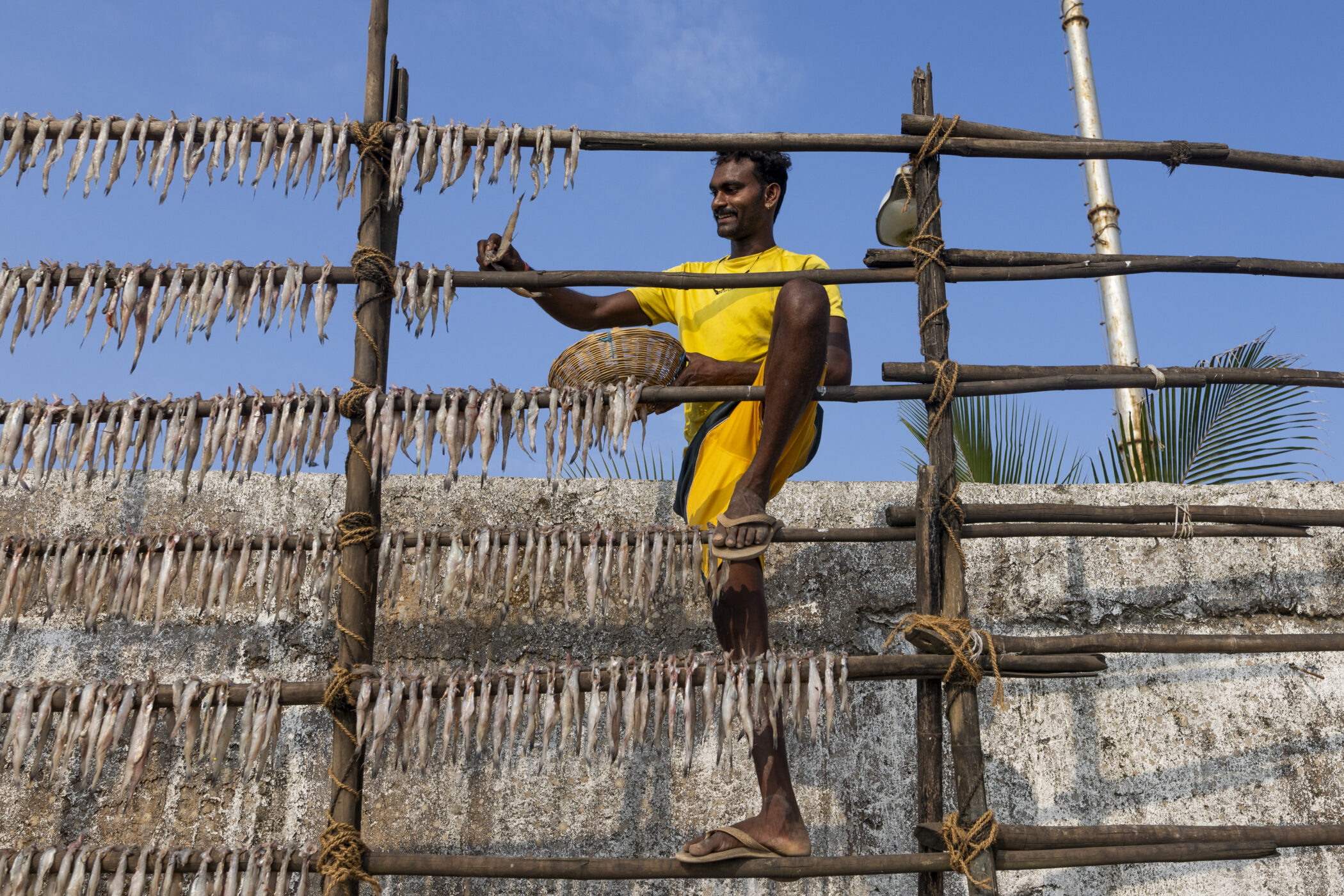 Harsha Vadlamani Photojournalist, Documentary Photographer and Filmmaker in India