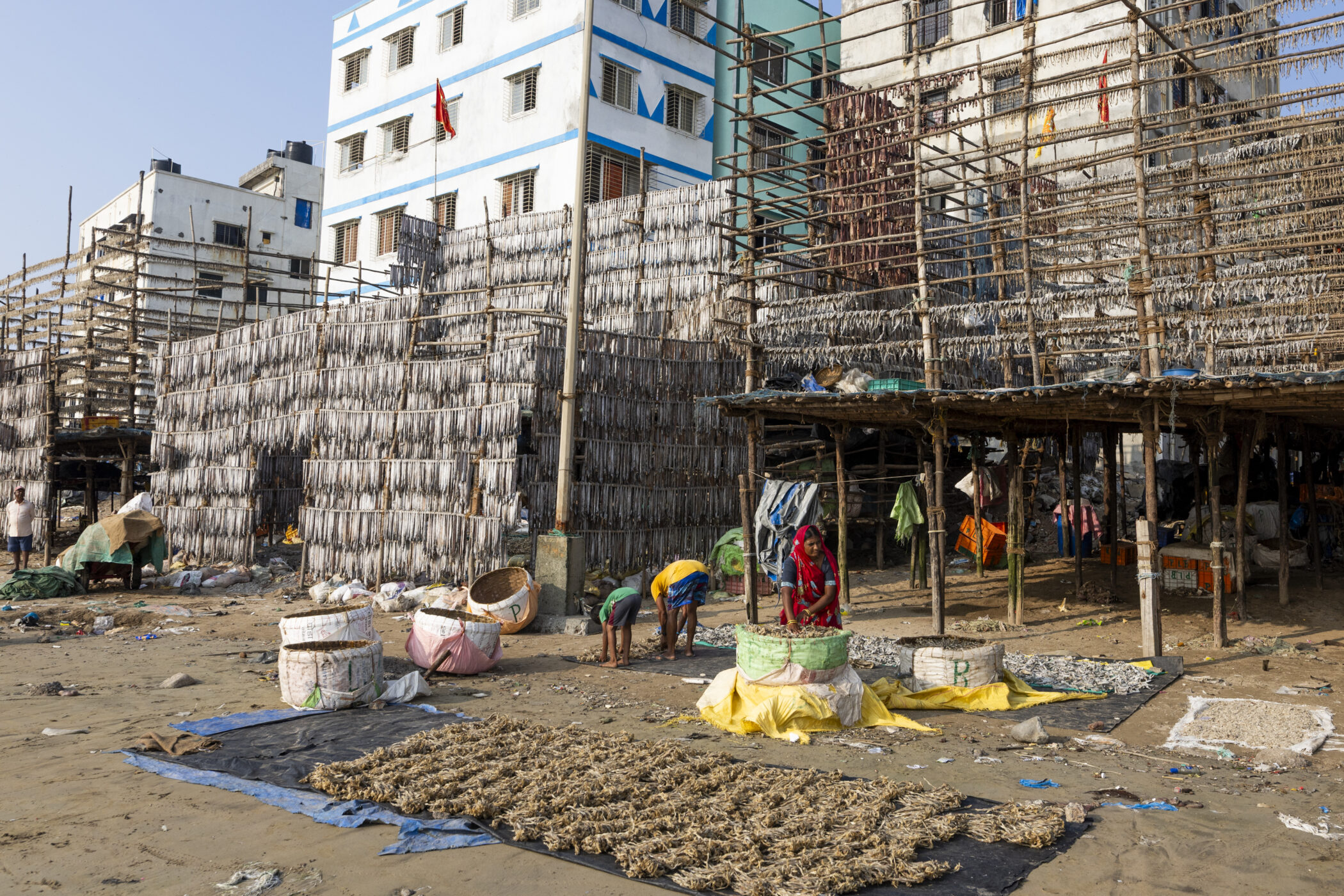 Harsha Vadlamani Photojournalist, Documentary Photographer and Filmmaker in India