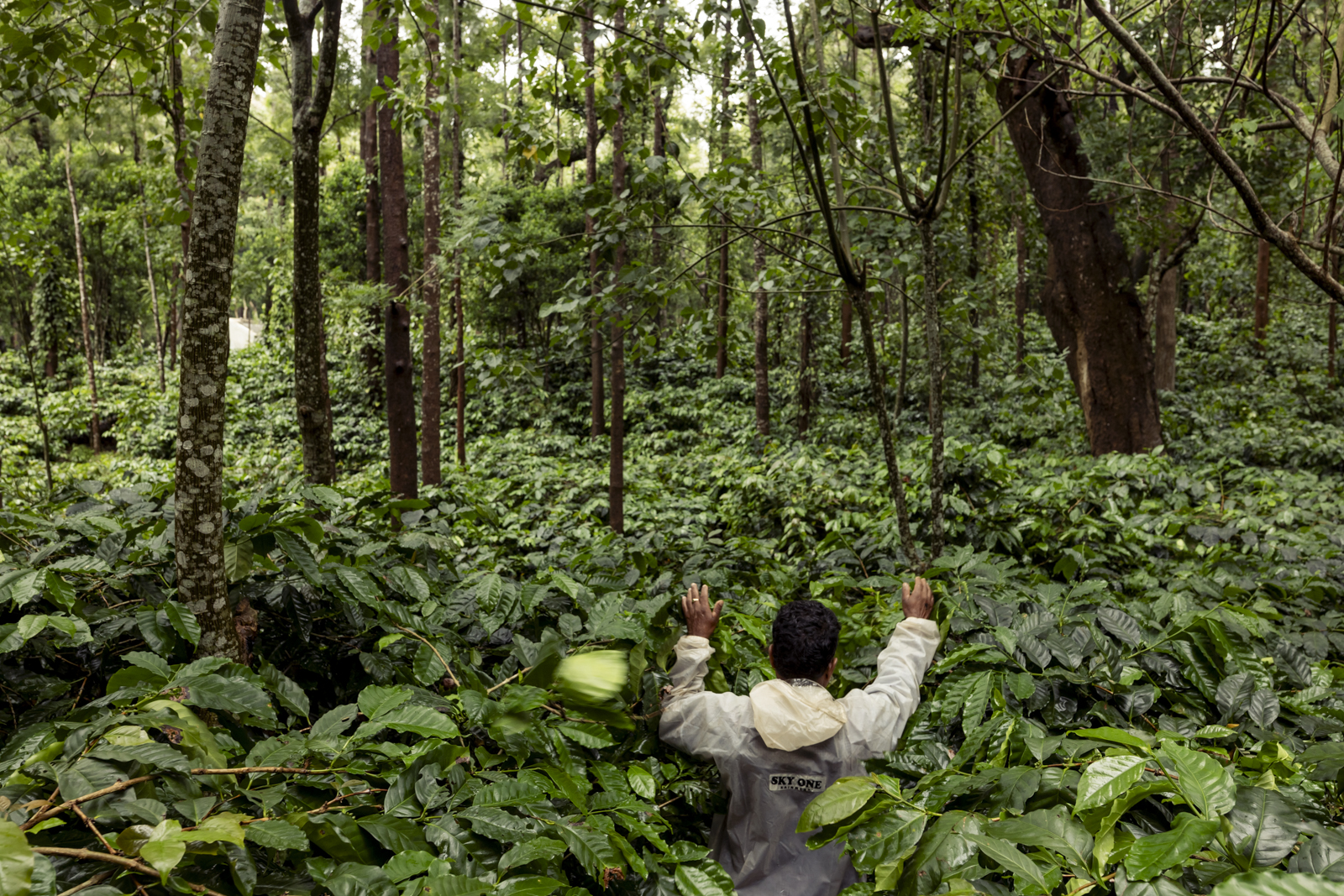 Harsha Vadlamani Photojournalist, Documentary Photographer and Filmmaker in India