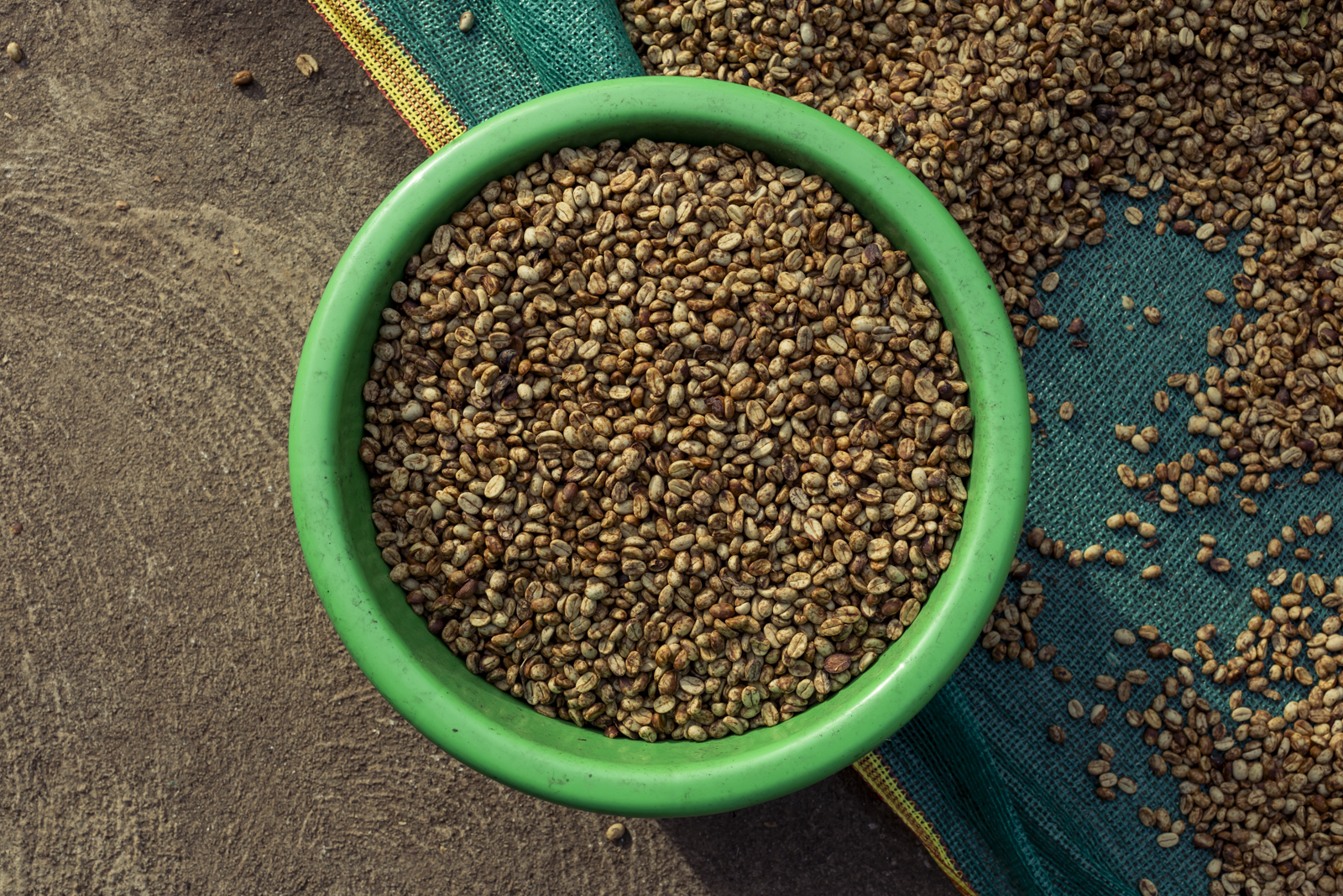 Photographs of coffee production in Western Ghats, India, by Harsha Vadlamani.