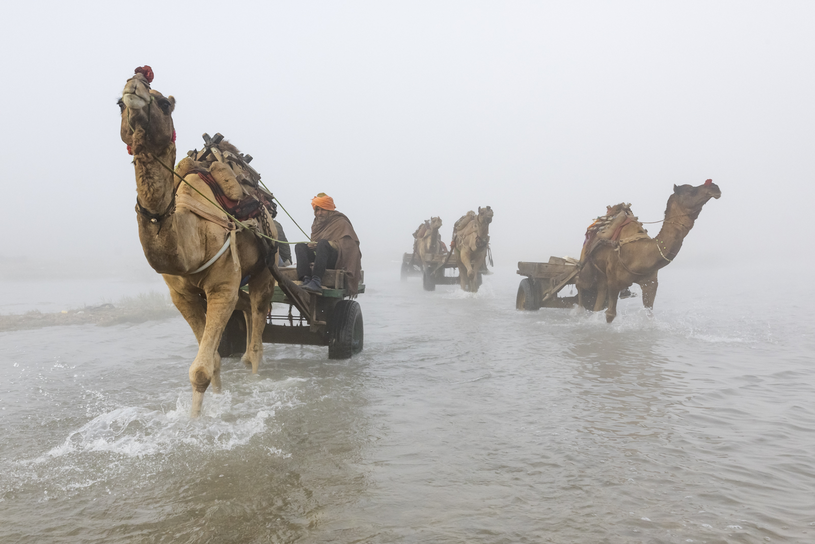 Harsha Vadlamani Photojournalist, Documentary Photographer and Filmmaker in India